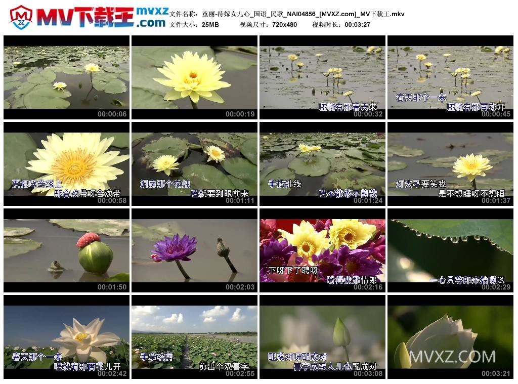 童丽-待嫁女儿心_国语_民歌_NAI04856